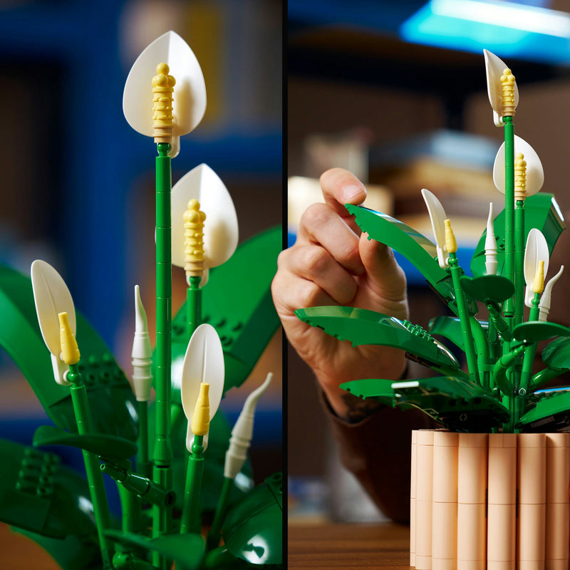 Load image into Gallery viewer, Lego the botanical collection - lepelplant constructiespeelgoed (11504)