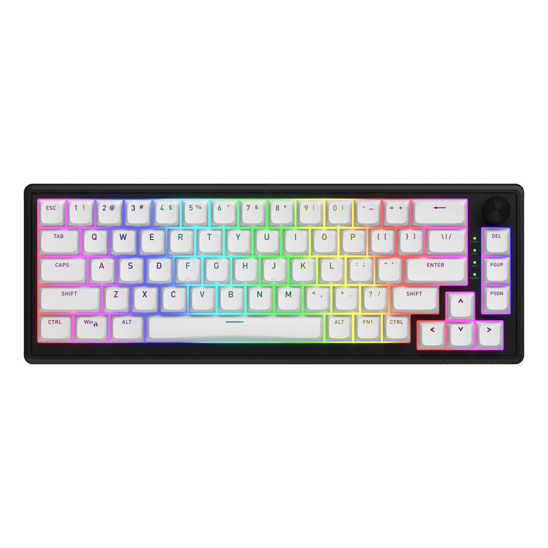 Load image into Gallery viewer, Hator skyfall mag ultra 8k rgb mechanisch gaming toetsenbord (zwart, us lay-out (qwerty), hator aurum ice, 65%, rgb, double-shot pbt, hot-swap)