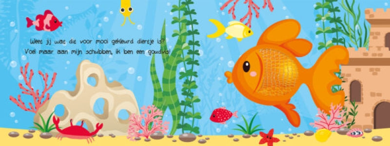 Load image into Gallery viewer, Lantaarn kijk en voel - huisdieren