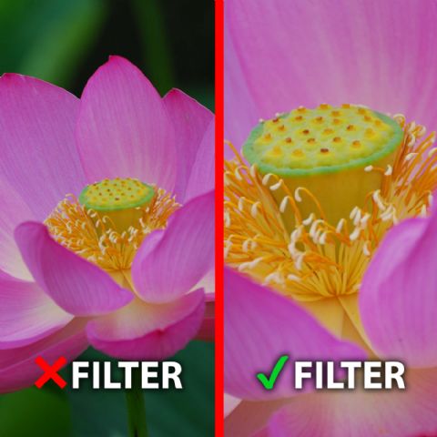 Load image into Gallery viewer, Marumi Macro Achro 200 + 5 Filter DHG 72 mm