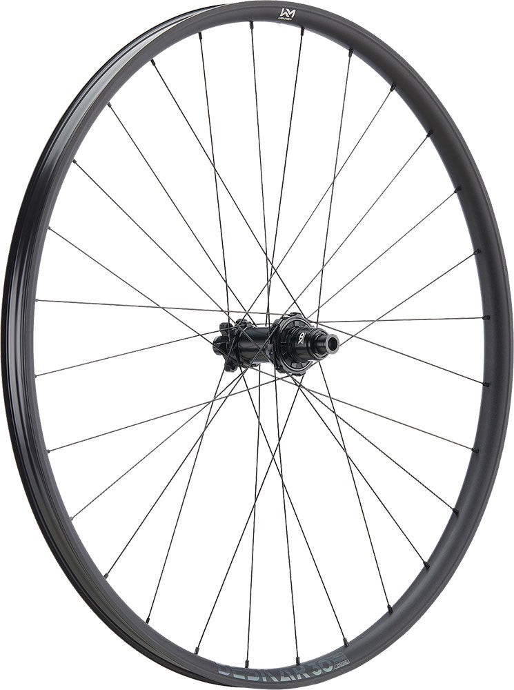 Load image into Gallery viewer, Newmen beskar 30 base 29 6-bolt 12x148 fade rear wheel