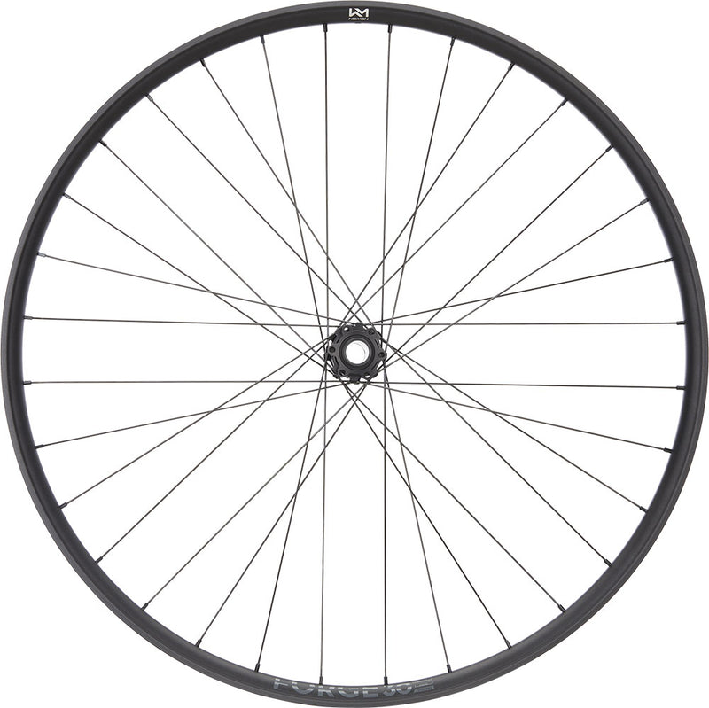 Load image into Gallery viewer, Newmen forge 30 strong enduro 29 6-bolt 15 20x110 fade front wheel