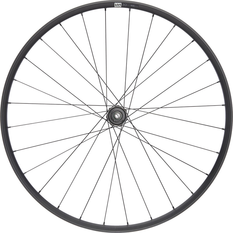 Load image into Gallery viewer, Newmen performance 30 light 29 6-bolt 12x148 fade rear wheel