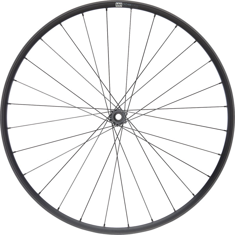 Load image into Gallery viewer, Newmen performance 30 light 29 6-bolt 15x110 fade front wheel