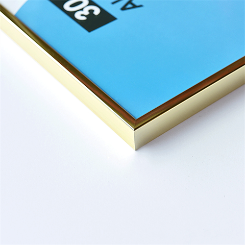 Load image into Gallery viewer, Nielsen design nielsen fotolijst 52421 accent goud 30x40 cm