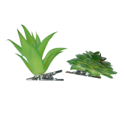 Afbeelding laden in galerijviewer, Kunst vetplant op clip groen 6,5 cm 2 assorti | 36 stuks