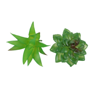 Afbeelding laden in galerijviewer, Kunst vetplant op clip groen 6,5 cm 2 assorti | 36 stuks