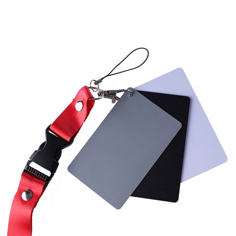 Load image into Gallery viewer, StudioKing Digitale Grijskaart SKGC-31S