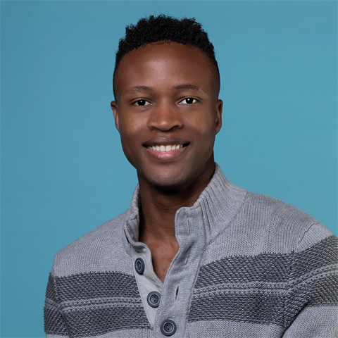 Load image into Gallery viewer, Superior achtergrondpapier 60 wedgewood 1,35 x 11m