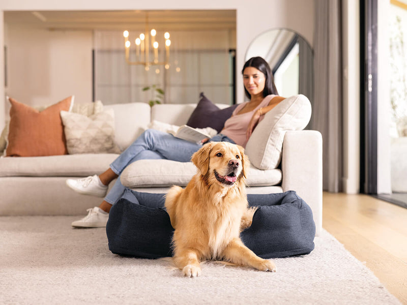 Load image into Gallery viewer, Intex opblaasbaar hondenbed | middelgroot