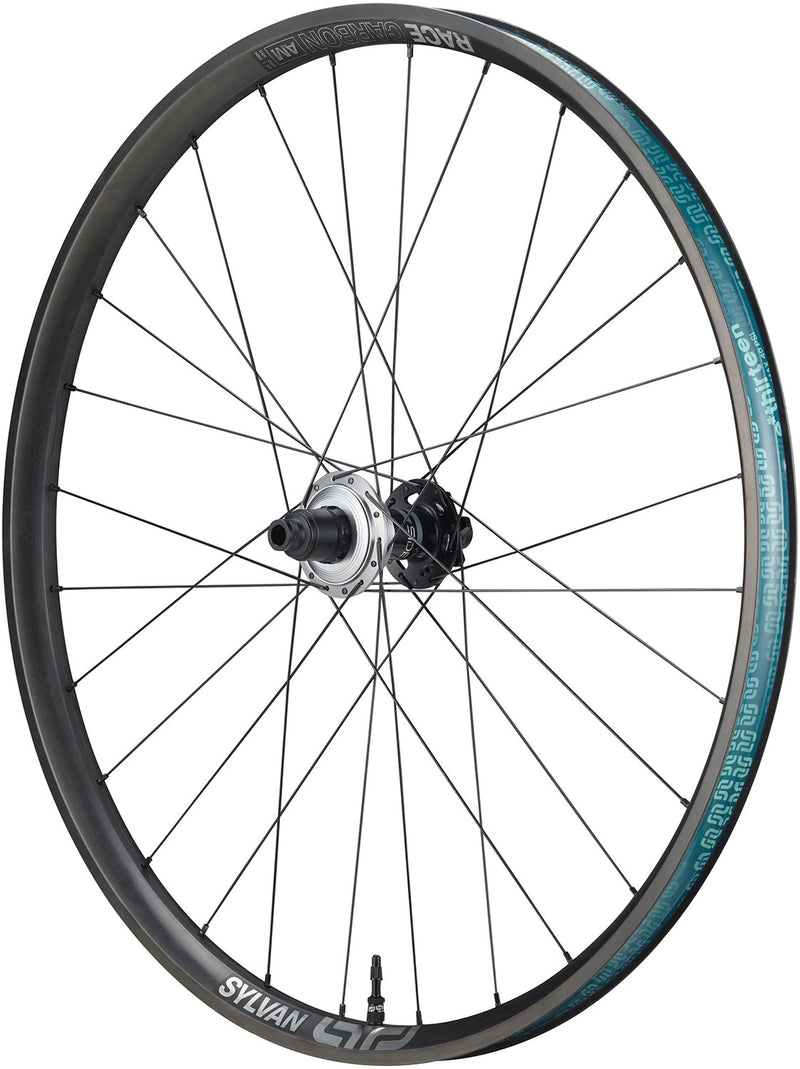 Load image into Gallery viewer, E*thirteen sylvan sidekick race all mountain carbon 12x148mm 29 hinterrad