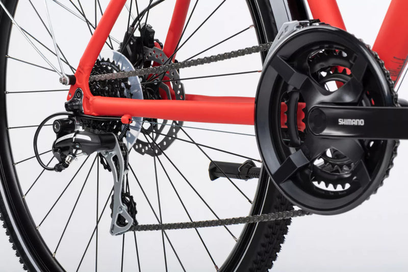 Load image into Gallery viewer, Winora domingo 24 sport 28 inch 48 cm heren 24v rood