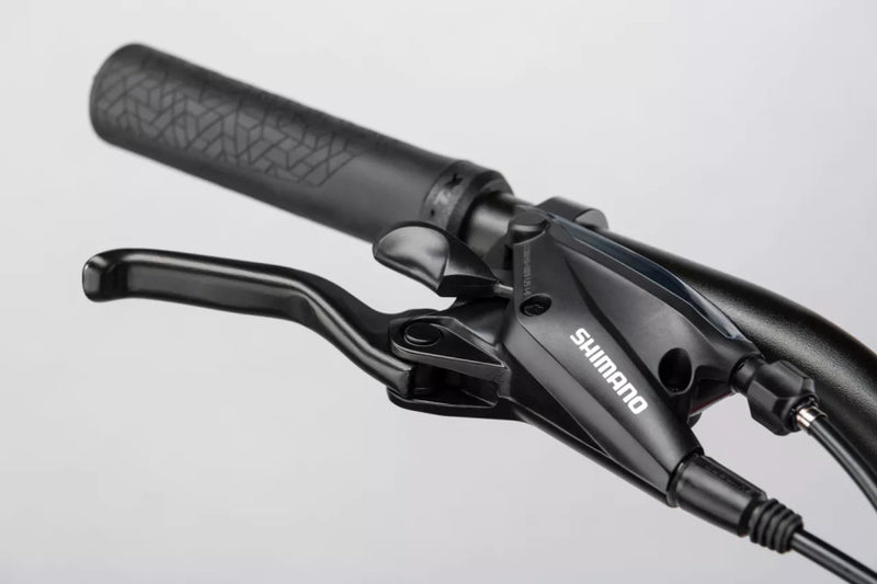 Load image into Gallery viewer, Winora domingo 24 sport 28 inch 52 cm dames 24v rood