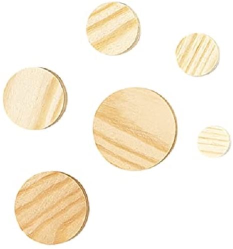 Load image into Gallery viewer, Wolfcraft conusplaatjes | ø20mm | 40 stuks - 2941000