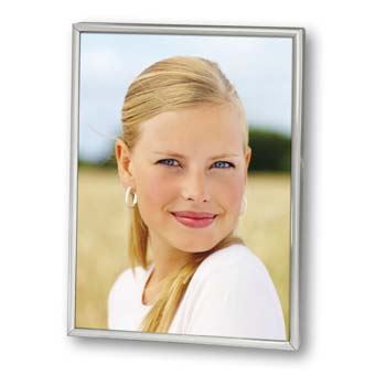 Load image into Gallery viewer, Zep 120s06-8r silver plated frame 20x25 cm