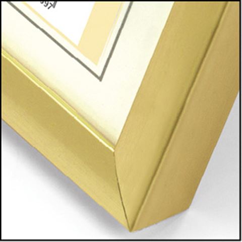 Load image into Gallery viewer, Zep fotolijst kg4 goud 20x30 cm