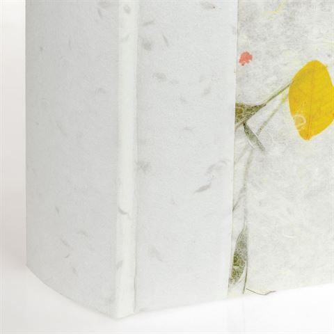 Afbeelding laden in galerijviewer, Zep RP46200 Album Slip-in 200 photos 10x15 cm