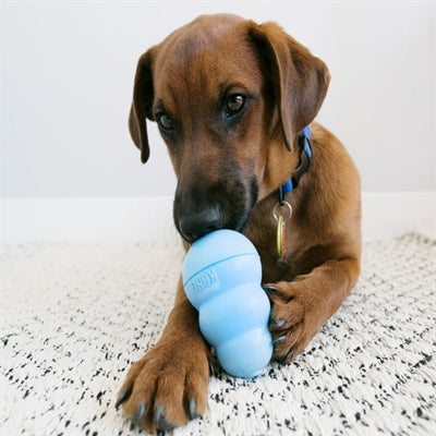 Load image into Gallery viewer, Kong Puppy roze of blauw assorti