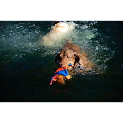 Load image into Gallery viewer, Chuckit flying squirrel