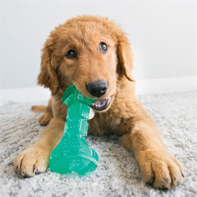 Load image into Gallery viewer, Kong Squeezz dental stick mintgroen