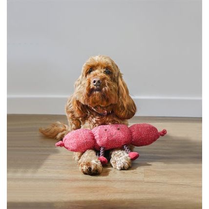 Load image into Gallery viewer, Rosewood Rosewood sergio sausage pluche touw