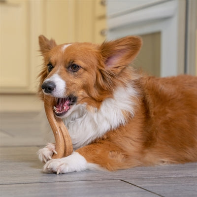 Load image into Gallery viewer, Petstages Dogwood flip chew