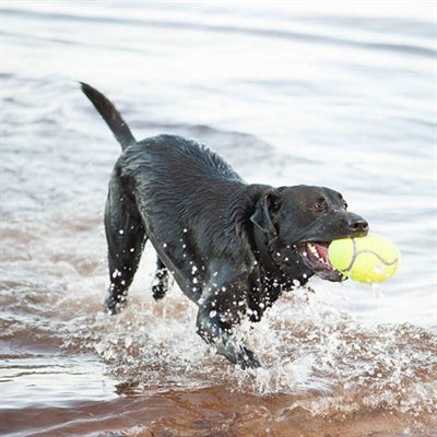 Load image into Gallery viewer, Kong Airdog football geel