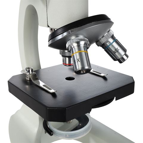 Load image into Gallery viewer, Byomic Studie Microscoop BYO-10