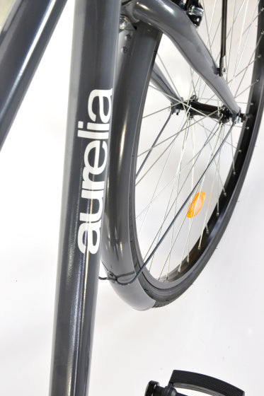 Load image into Gallery viewer, Dino 28 Inch 49 cm Heren V-Brakes Donkergrijs