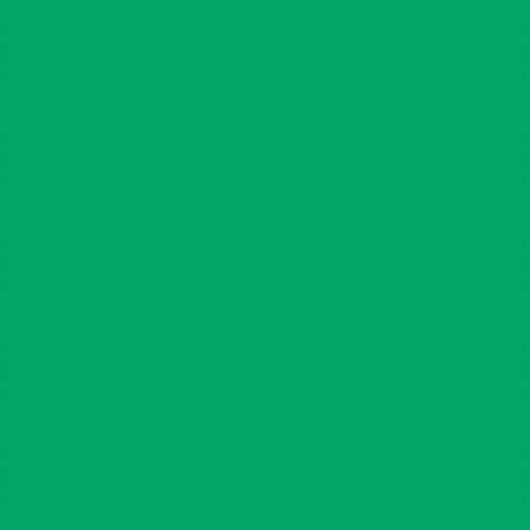 Afbeelding laden in galerijviewer, Falcon Eyes Achtergrondpapier 46 Chroma Green 0,57 x 11 m
