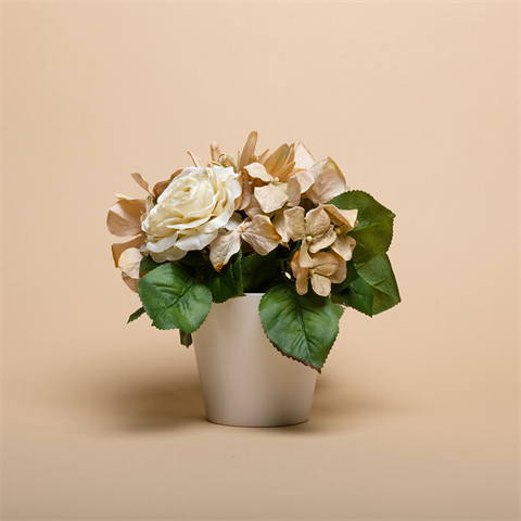 Load image into Gallery viewer, Superior achtergrondpapier 66 wheat 1,35 x 11m