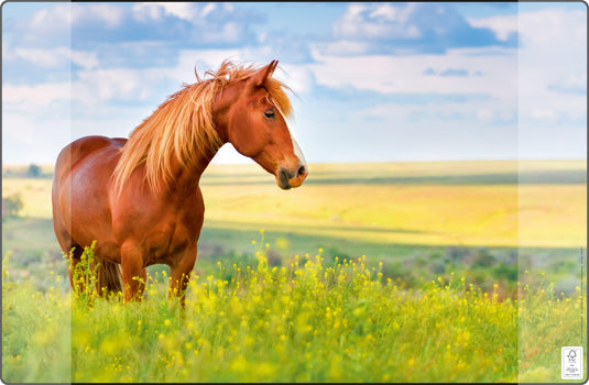 Kangaro k-0014d117 buro-onderlegger pp 38x58cm paard