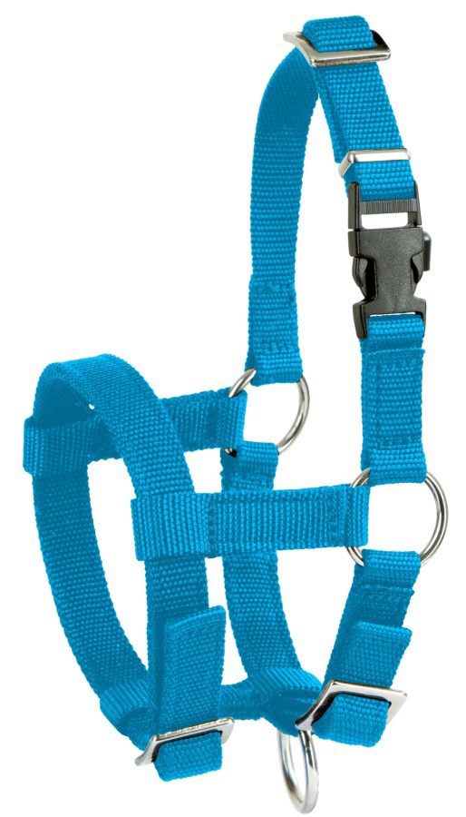 Load image into Gallery viewer, Alpaca halster blauw 2
