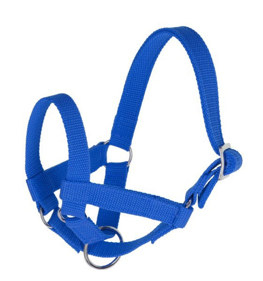 Producten lama halster blauw gr 50