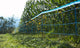 Ako producten wildnet 75cm x 50m enkele pen