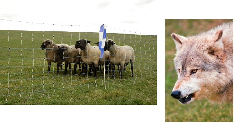 Load image into Gallery viewer, Ako producten wolfnet ovinet maxi 122cm x 50m dubbele pen
