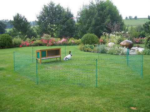 Ako producten konijnennet 65cm x 50m enkele pen