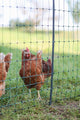 Ako producten poultrynet premium wel elektrificeerbaar 25m