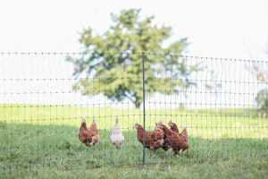 Ako producten poultrynet premium niet elektrificeerbaar 50m