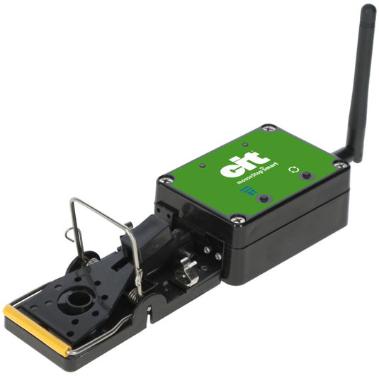 Muizenval smart cit mousestop