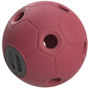 Producten voerspeelbal soccer roze