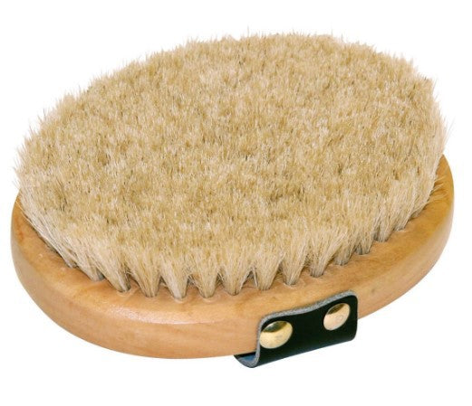 Verwenborstel ovaal houten rug paardenharen brushco