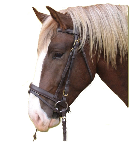Producten hoofdstel standard leer bruin pony