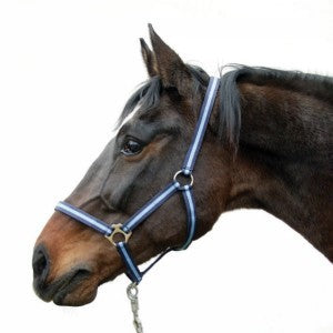 Abi producten hippo halster blauw 1 pony