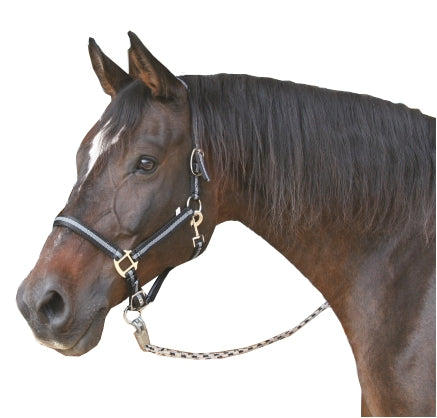 Abi producten mustang halster 2x verst zwartzilver 2 cob