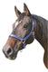 Abi producten mustang halster 2x verst blauwzwart 3 full