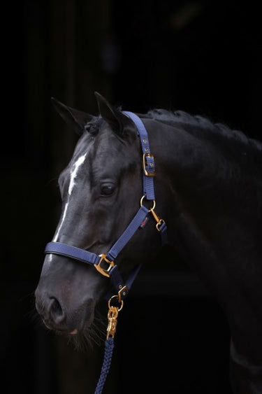 Abi producten topline halster blauw 2 full