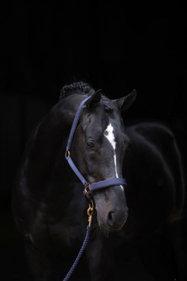 Abi producten topline halster blauw 2 extra full