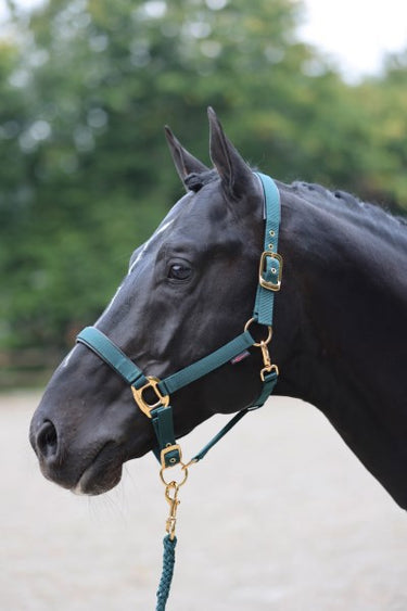 Abi producten topline halster donkergroen 1 pony
