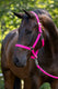 Abi producten hippo halster roze 0 shetland